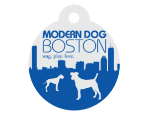 Modern Dog Boston
